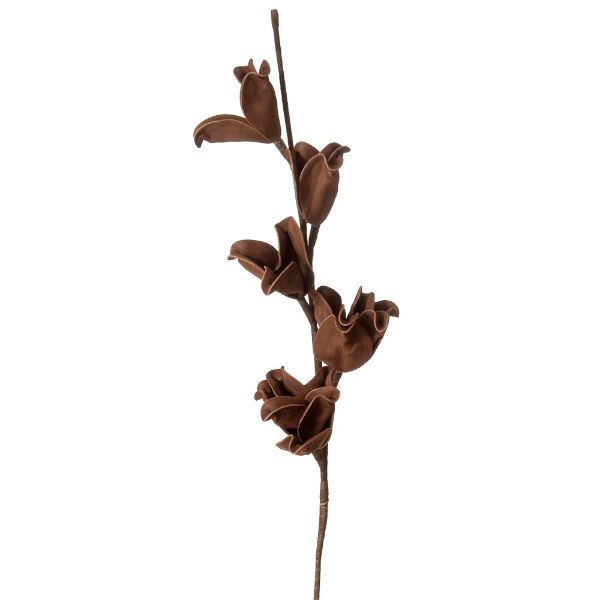 Slika Grana braon cvetovi