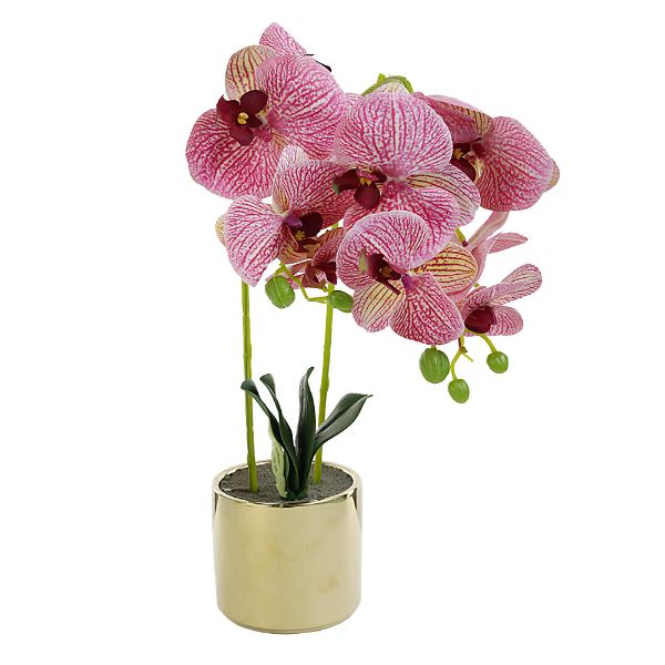 Slika Vestačka orhideja 11x52cm