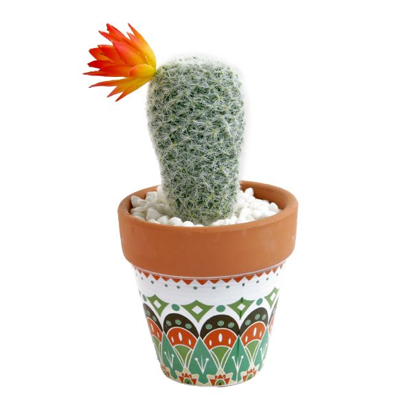 Slika Vestački kaktus 20cm 