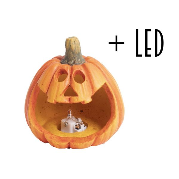Slika Bundeva led 9.8