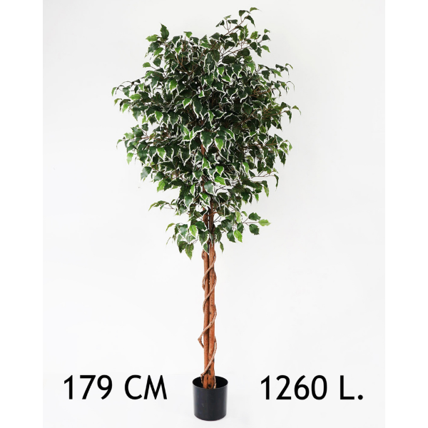 Slika Veštačka biljka 179 cm