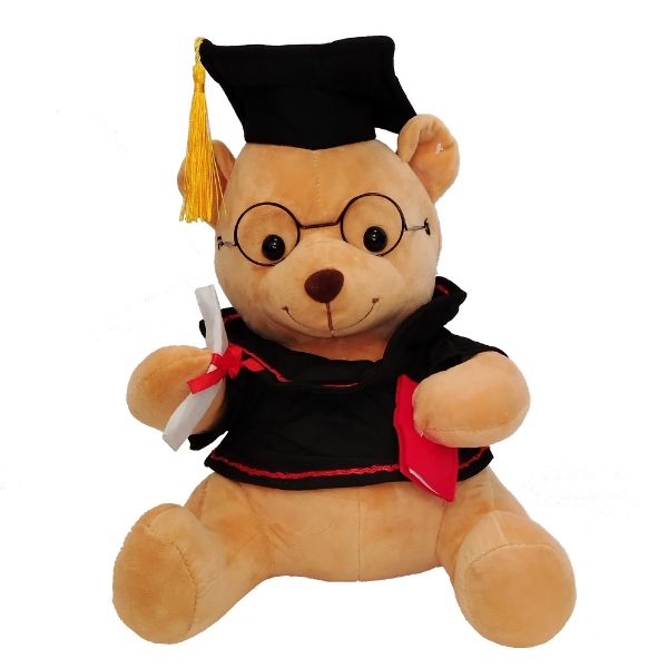 Slika PLIŠANI MEDA DIPLOMAC 25 CM