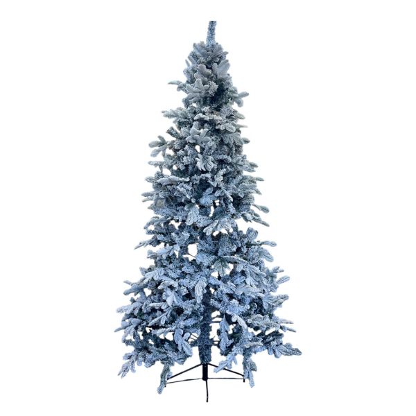 Slika Snežna jelka 240 cm