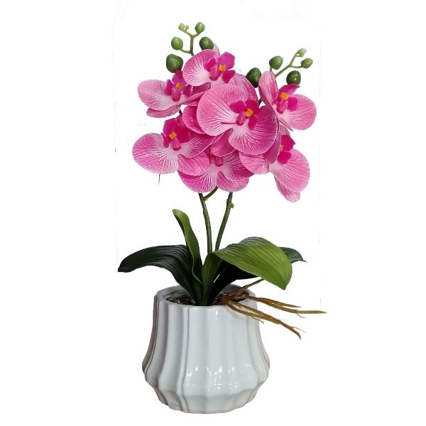 Slika Veštačka orhideja 36 cm