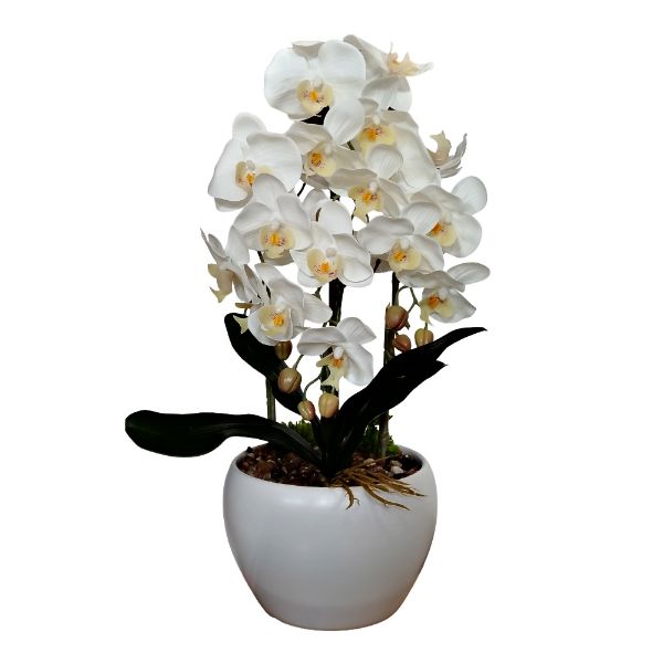 Slika Veštačka orhideja u saksiji 60 cm