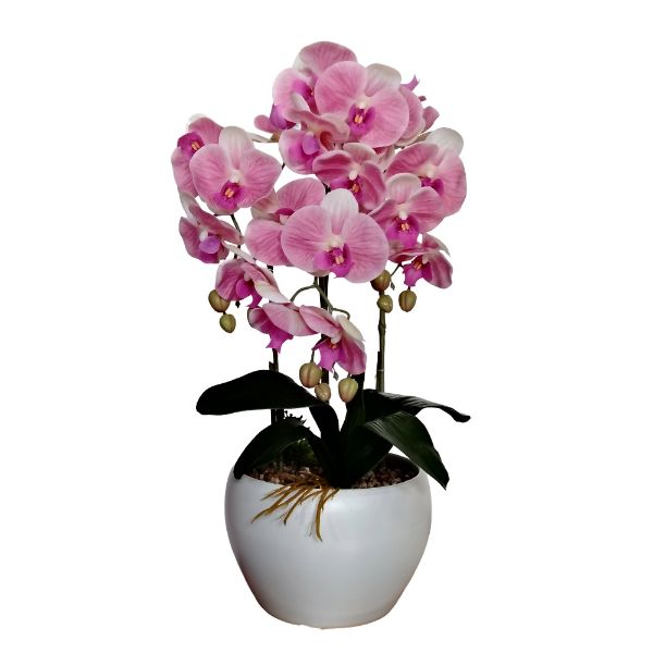 Slika Veštačka orhideja u saksiji 60 cm