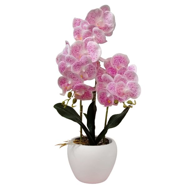 Slika Veštačka orhideja u saksiji 50 cm