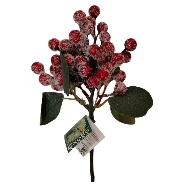 Slika NG GRANA 24 CM