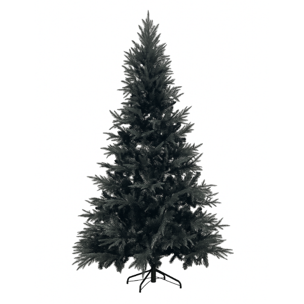 Slika Jelka crna 210 cm