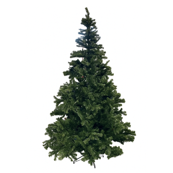 Slika Zelena jelka 240 cm