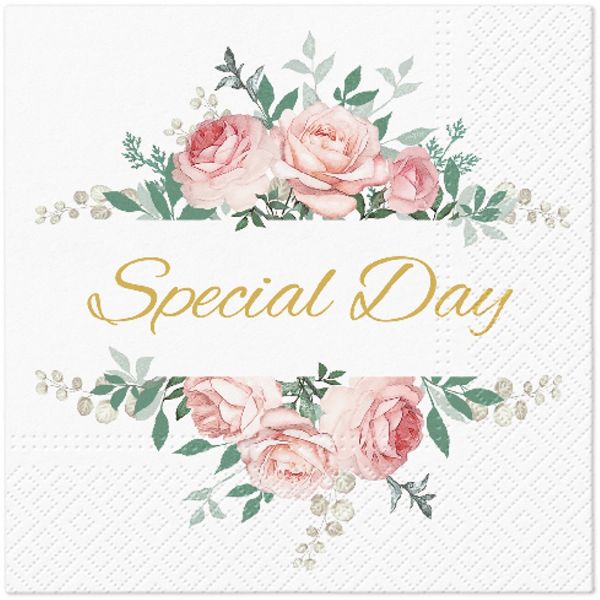 Slika SALVETA EVERYDAY 33X33 20/1 