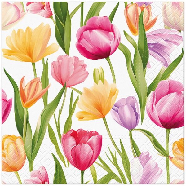 Slika SALVETA EVERYDAY 33X33 20/1