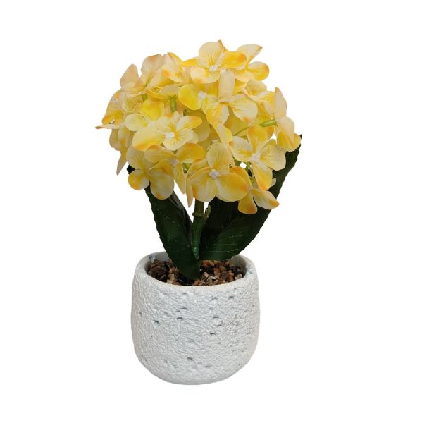 Slika Veštačka orhideja u saksiji 