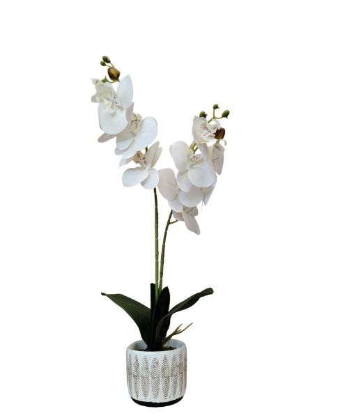Slika Veštačka orhideja u saksiji 10x9x56 cm