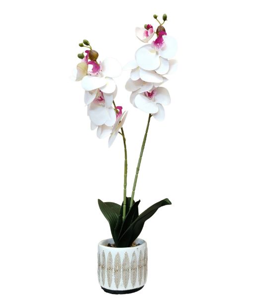 Slika Veštačka orhideja u saksiji 10x9x56 cm