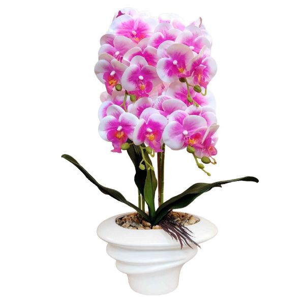 Slika Veštačka orhideja u saksiji 24x10x51 cm