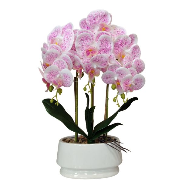 Slika Veštačka orhideja u saksiji 17x11x47 cm
