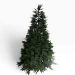 Slika Zelena jelka 210 cm