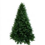 Picture of Zelena jelka 240 cm